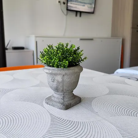 Monolocale Belvedere Apartmán